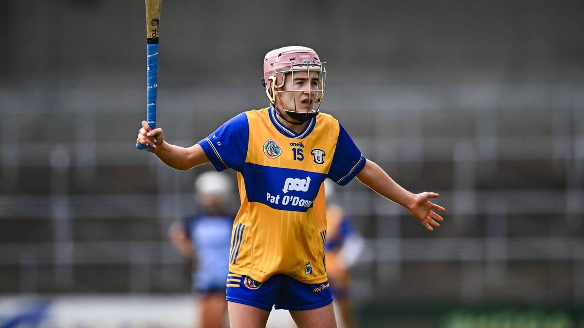 Clare and Kilkenny march into camogie quarter-finals
