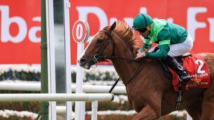 <p>Benvenuto Cellini, with Ryan Moore up, on their way to winning the Dubai Duty Free Irish Derby. Pic: Thomas Doolin/Sportsfile.</p>