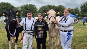 <p>Champion and Reserve Champion Senior Holstein at Charleville Show, Coolroehouse Abbott Ann and Cedarmore Hurricane Tory owned by Paul Murphy and Emma Behan</p>