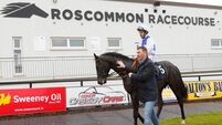 Toy Soldier can march clear for Mallow trainer Maurice Ahern in Roscommon