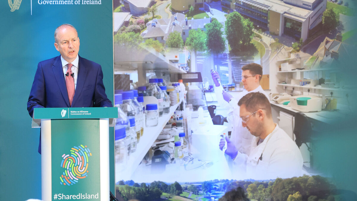 Taoiseach warns hard border would 'injure and impede a lot of basic rights'