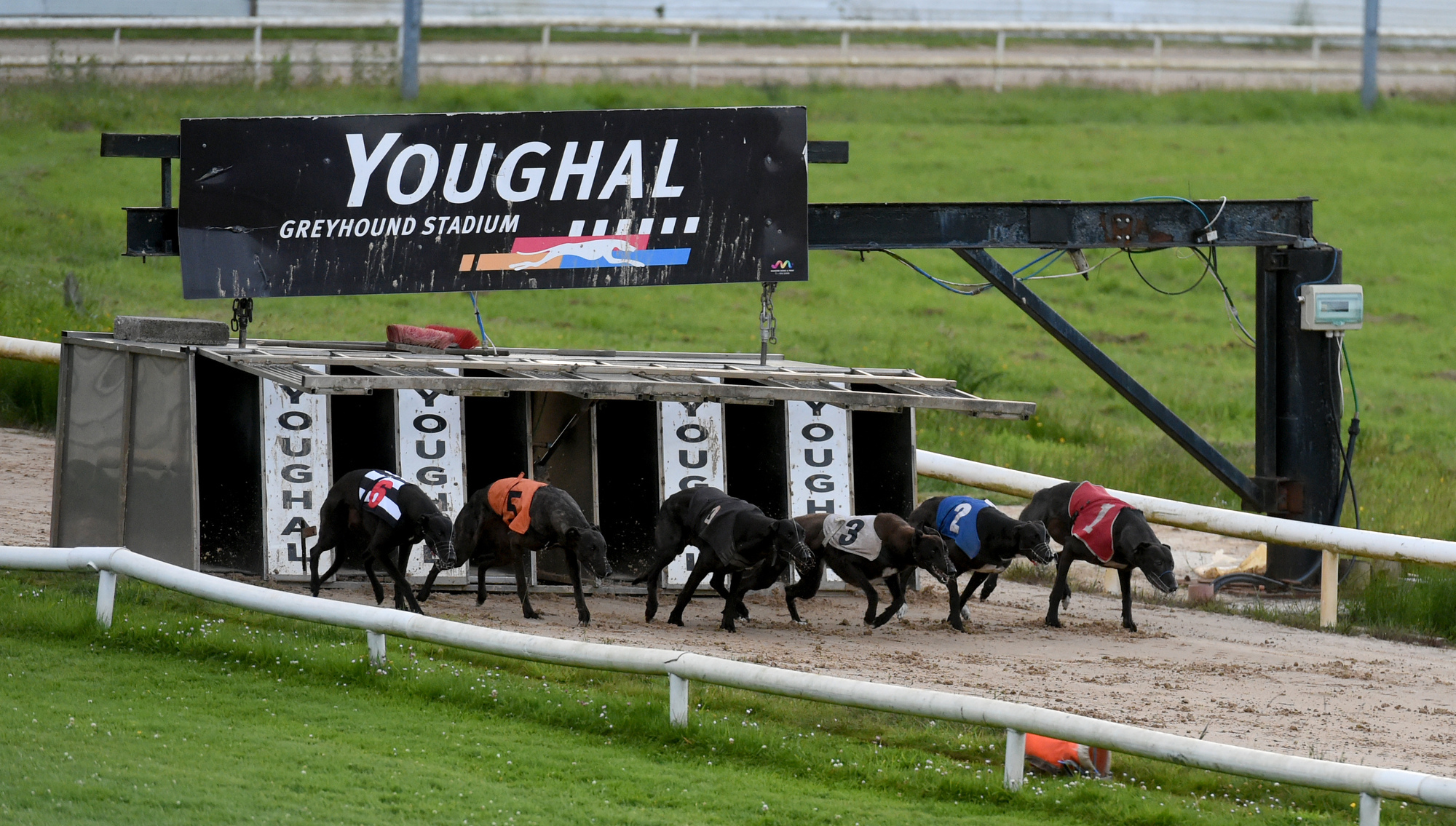 Cork greyhound racing stadium that attracts no paying customers to spend €50,000 on track upgrade