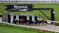 Cork greyhound racing stadium that attracts no paying customers to spend €50,000 on track upgrade