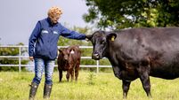 Reaping the rewards of planning in 'snatch and grab' silage season
