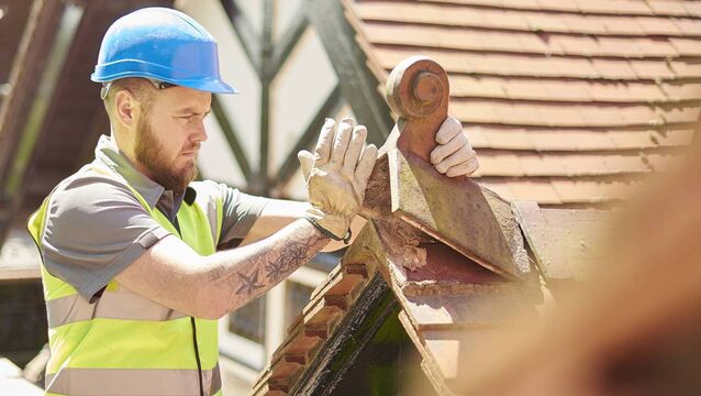 <p>James Browne and John Cummins will bring planning guidelines for rural and Gaeltacht housing to Cabinet today in a bid to ease strict rules for building one-off homes. Picture: iStock</p>