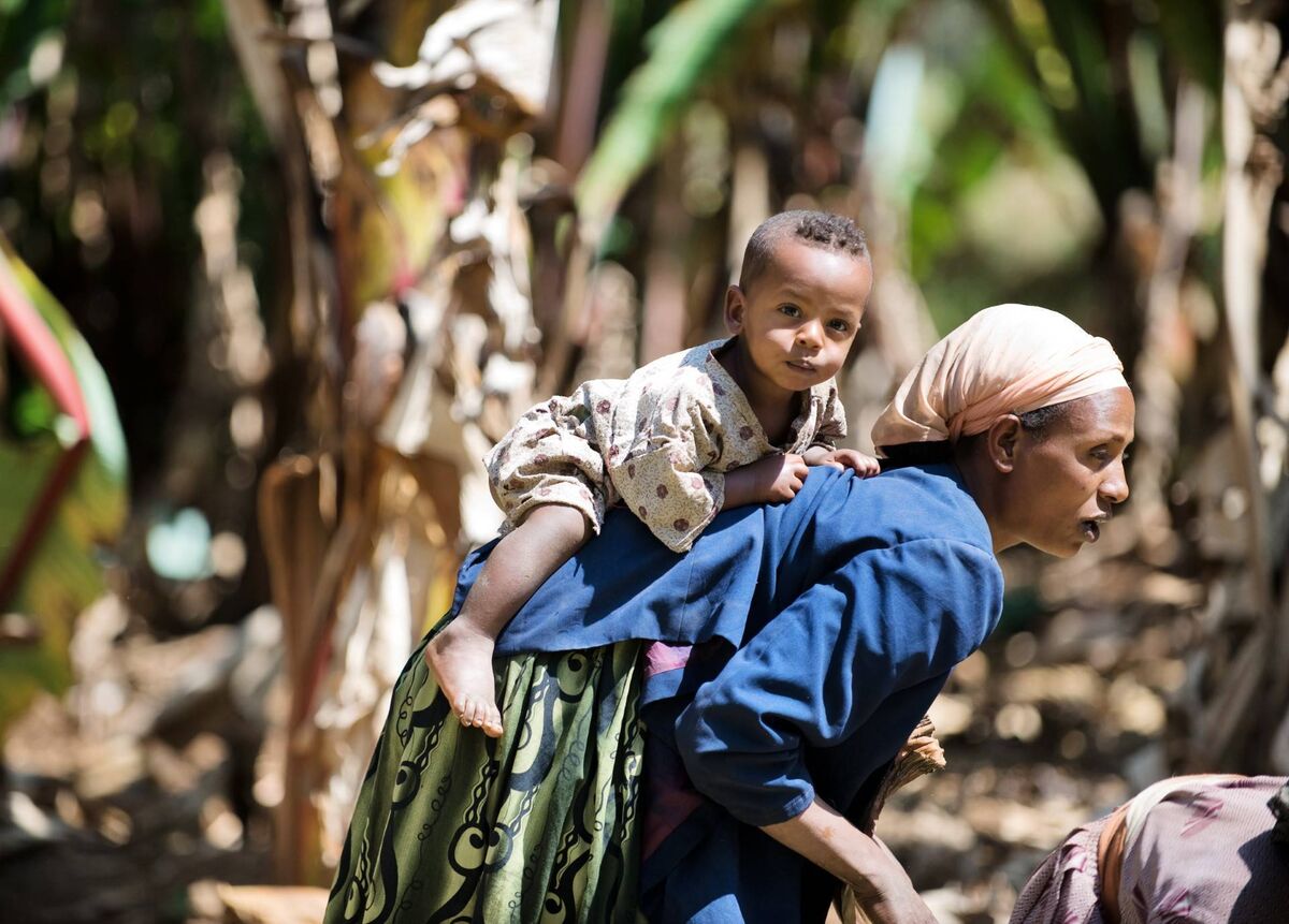 Yeabsire carries her daughter Etsub on her back as she farms land in Nazareth in Ethiopia. Yeabsire carries her daughter Etsub on her back as she farms land in Nazareth in Ethiopia.