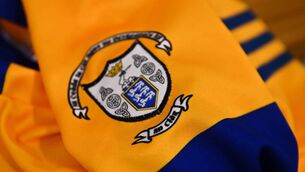 <p>Clare GAA chairman Kieran Keating: "There were many witnesses to the incident and we sincerely thank those who came to his immediate assistance at the time.” Pic: Eóin Noonan/Sportsfile</p>