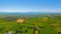 Ballynamuddagh House near Kilmallock offers impressive 155a package at €2m
