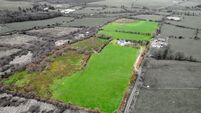 17a land parcel in East Cork tempting at €11k/acre