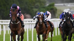 <p>Bosphorus Rose and Billy Lee win for trainer Paddy Twomey. Pic: Healy Racing</p>