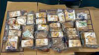 Gardaí seize more than €700k in Limerick raid linked to organised prostitution investigation
