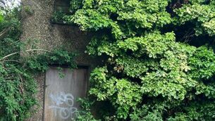 <p>Monerea House on Albert Road was described by a planning commission inspector as "overgrown with vegetation.</p> <p>Monerea House on Albert Road was described by a planning commission inspector as "overgrown with vegetation.</p>