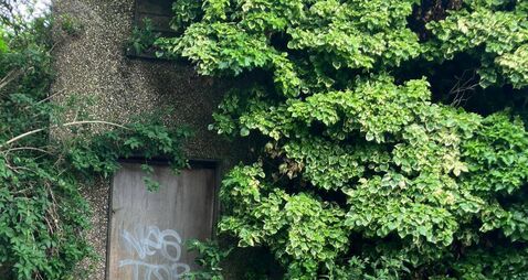 Planning commission approves compulsory acquisition of two derelict Cork City properties 