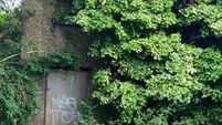 Planning commission approves compulsory acquisition of two derelict Cork City properties 