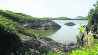 Anja Murray: Our wild shorelines are worth visiting - and definitely worth protecting