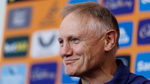 <p>Australia head coach Joe Schmidt. Pic: Ben Brady/Inpho</p>