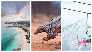 <p>Explore some of this week's best getaway opportunities</p>