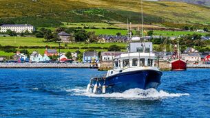 <p>Boat tour leaving Dingle harbour for sightseeing </p>