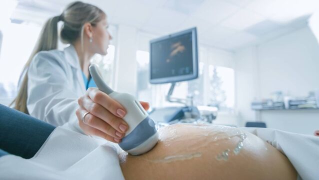 <p>The group — Our Maternity Choice Ireland — was formed in the wake of a sudden focus on the provision of public or private maternity care amid Sláintecare reforms. Picture: iStock</p>