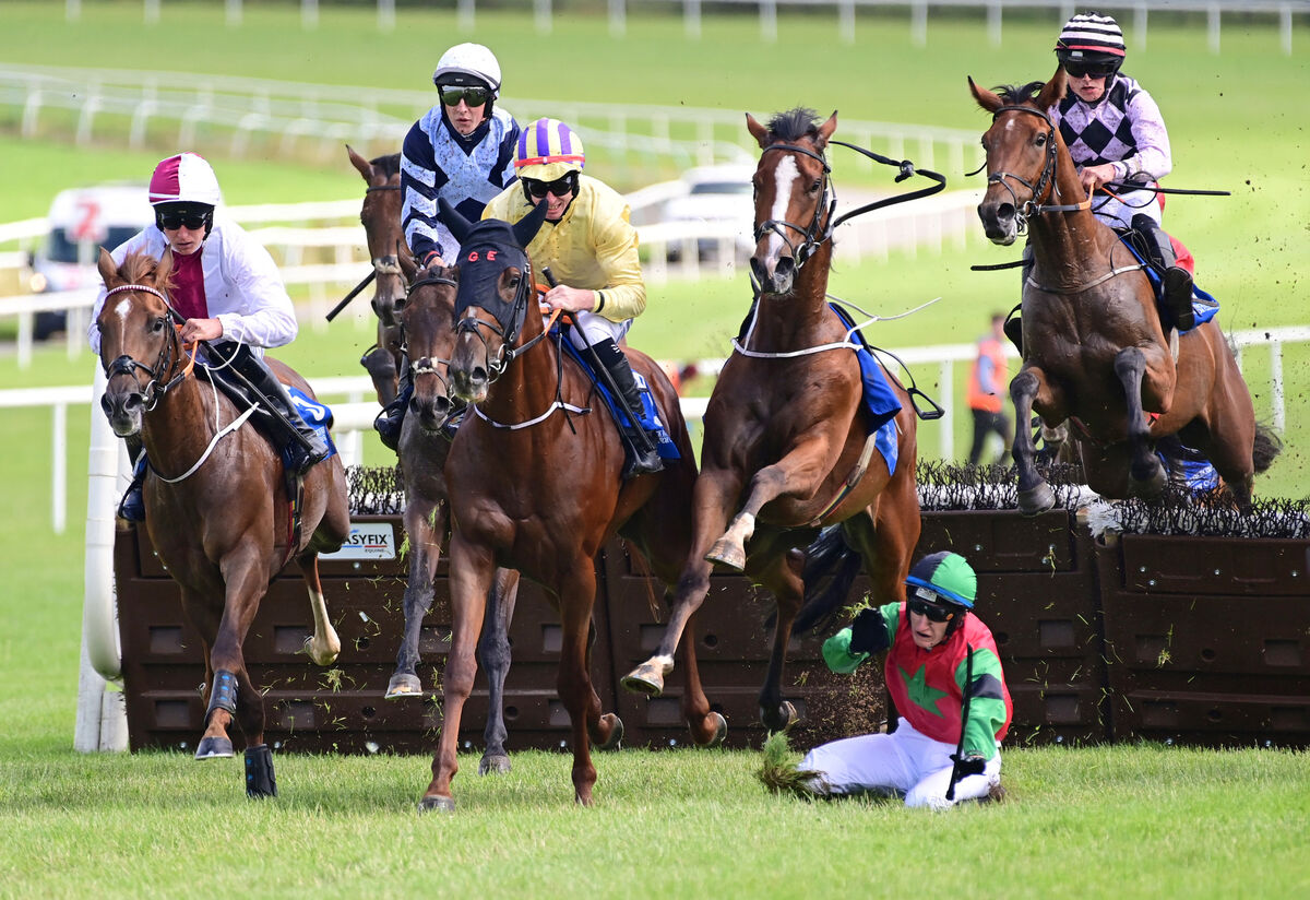 Notahairoutofplace and Calum Hogan part ways at the second hurdle in the Cappawhite Civil Engineering 3-Y-O Maiden Hurdle with winner Minella Rockett and Dan King (left). Pic: Healy Racing Notahairoutofplace and Calum Hogan part ways at the second hurdle in the Cappawhite Civil Engineering 3-Y-O Maiden Hurdle with winner Minella Rockett and Dan King (left). Pic: Healy Racing