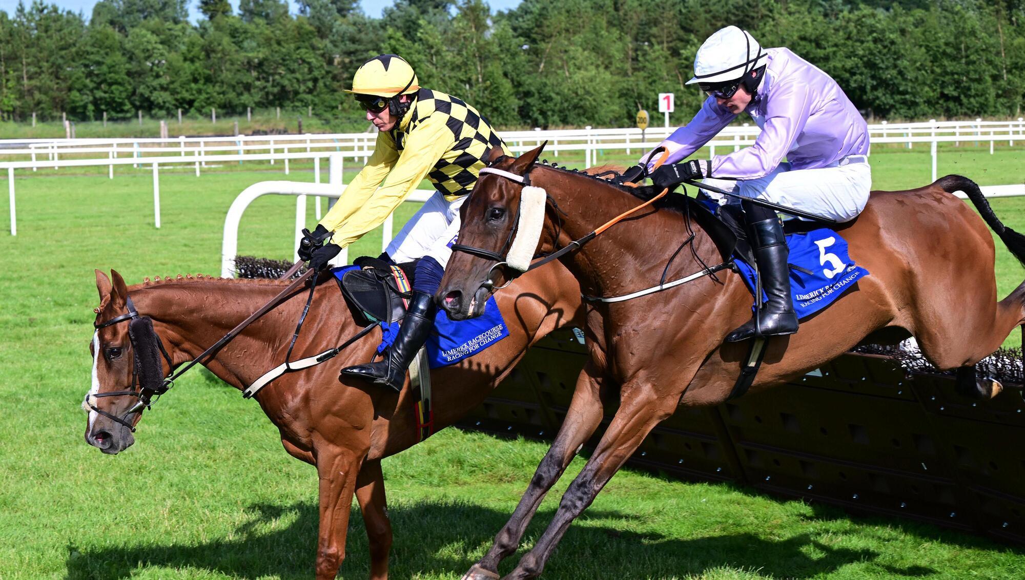 Run For Oscar and Danny Mullins (right) win Grade 3 Grimes Hurdle from Daddy Long Legs (left). Pic: Healy Racing