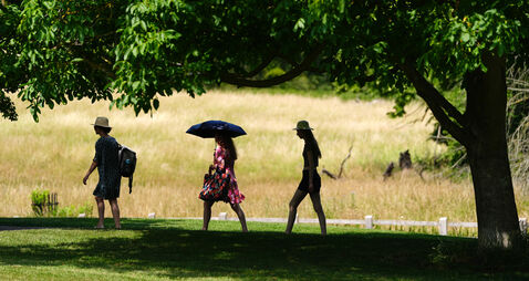 Summer weather June 26th 2026