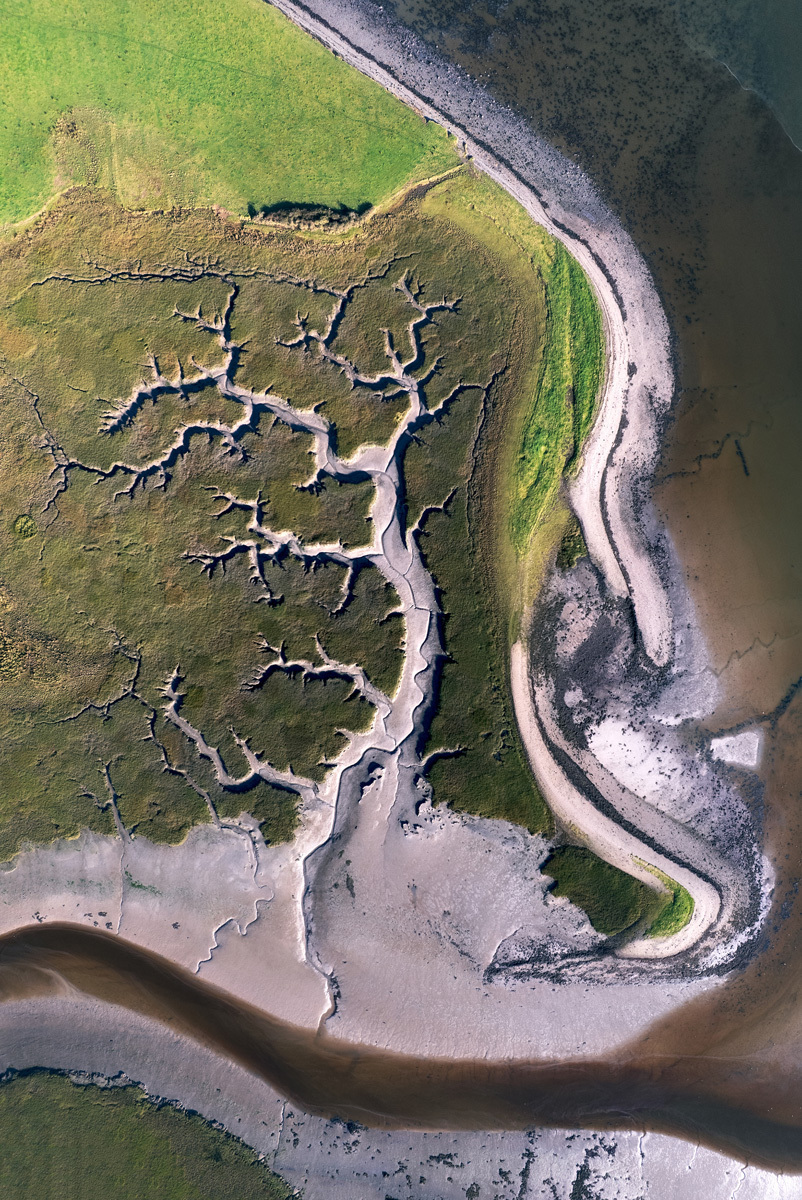 Piotr MachowczykLike a Tree in the WindBallylongford, Co. Kerry