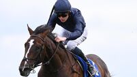 Saturday racing preview: Florida Bay should have enough at Naas