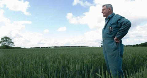 Farmer standing in wheat field