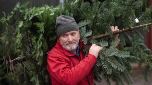 <p> Pat Lehane of Castletreasure Christmas Tree farm in Cork. Over 100 delegates from 12 countries will meet in Ireland for the annual meeting of the Christmas Tree Growers Council of Europe. Picture: Dan. Linehan</p> <p> Pat Lehane of Castletreasure Christmas Tree farm in Cork. Over 100 delegates from 12 countries will meet in Ireland for the annual meeting of the Christmas Tree Growers Council of Europe. Picture: Dan. Linehan</p>