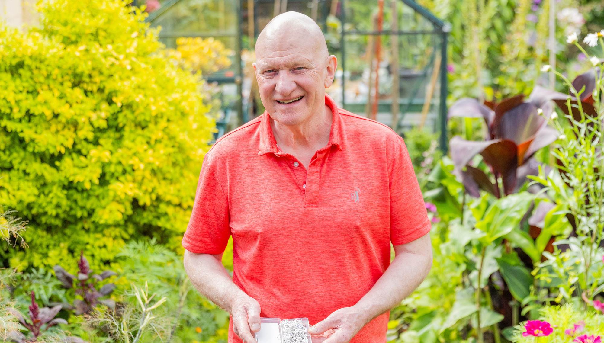 Why one man is dispatching 50,000 ladybirds to households across Ireland ...
