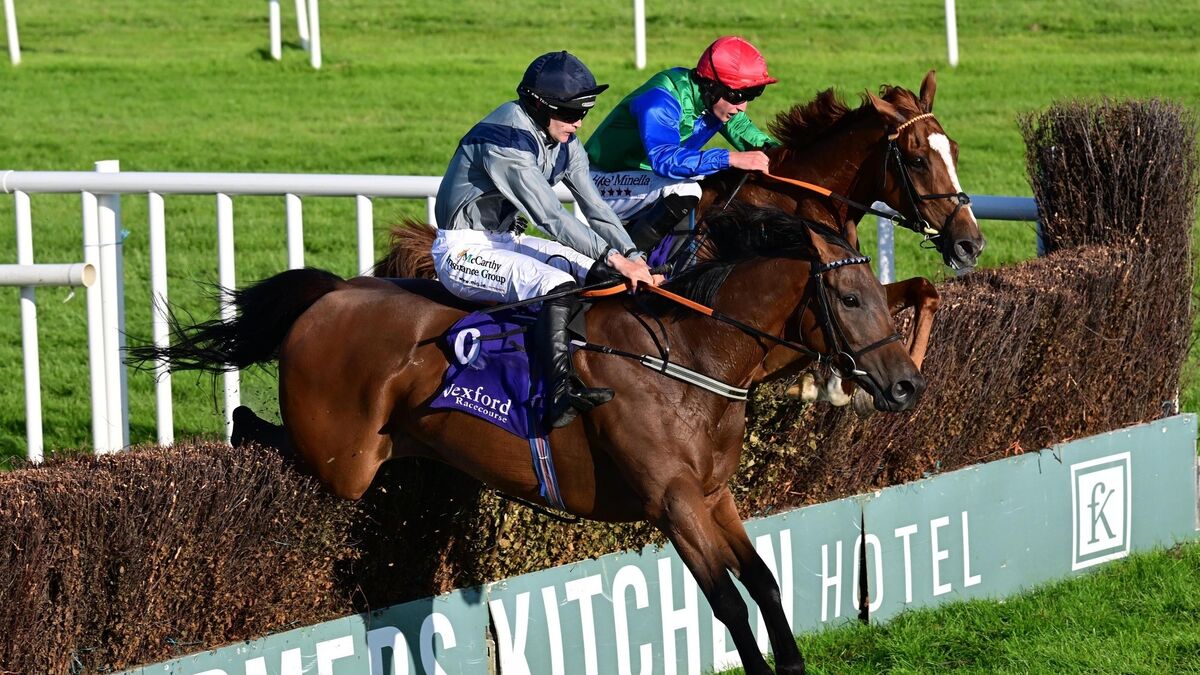 Lisleigh Lad lands Wexford feature for Eleanor Broderick