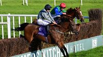 Lisleigh Lad lands Wexford feature for Eleanor Broderick
