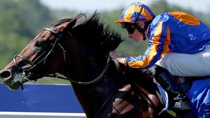 <p>Constitution River and Ryan Moore win for owners Coolmore and trainer Aidan O'Brien. Pic: Healy Racing</p>
