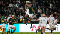 South Africa England Rugby