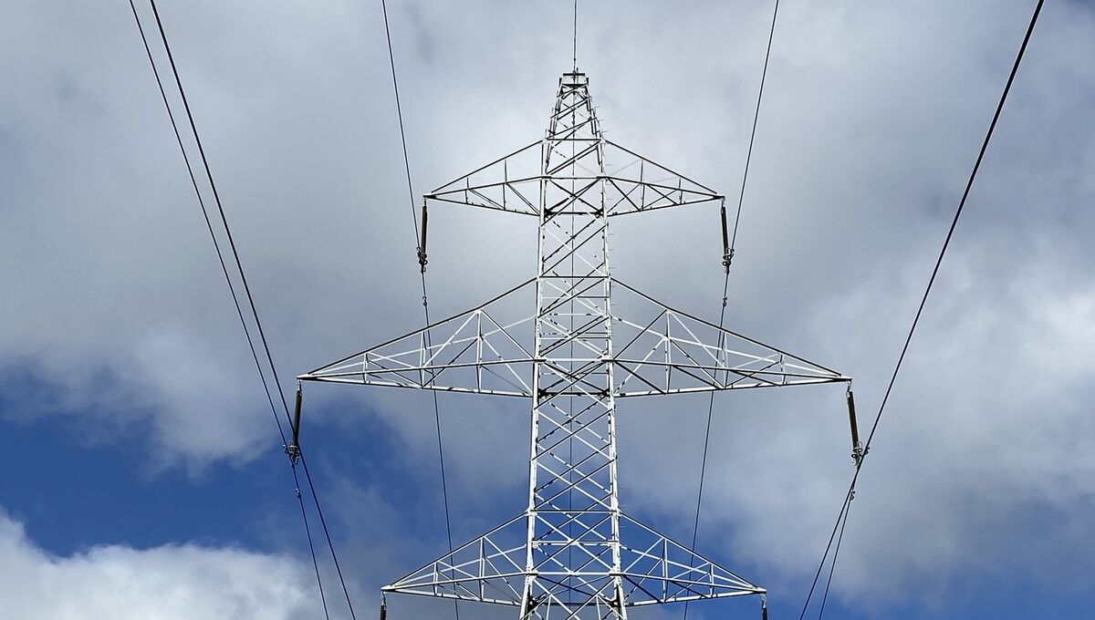 DII chair Maurice Mortell: ‘This issue is another one of EirGrid’s smoke screens to avoid finger-pointing.’ Pic: Larry Cummins DII chair Maurice Mortell: ‘This issue is another one of EirGrid’s smoke screens to avoid finger-pointing.’ Pic: Larry Cummins