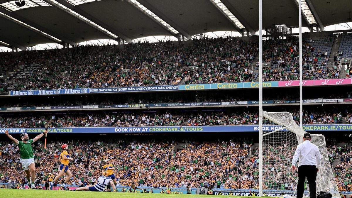 Anthony Daly: Limerick really showed the class and composure of champions against Clare