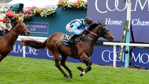 Asfoora could have one last hurrah at Goodwood (Richard Sellers/PA) Asfoora could have one last hurrah at Goodwood (Richard Sellers/PA)