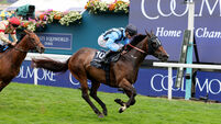 Sky Bet Ebor Festival 2025 - Day Three - York Racecourse