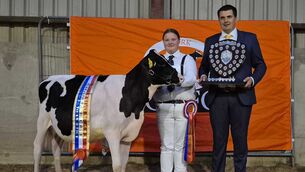 <p>Lyndsay Fleming (right) presenting the champion calf at Cork YMA calf show to Rathard SKick Acclaim and Georgie Hynes.</p>