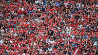 Patrick Horgan: Another sickening loss for Cork but the fans shouldn't be shipping any blame