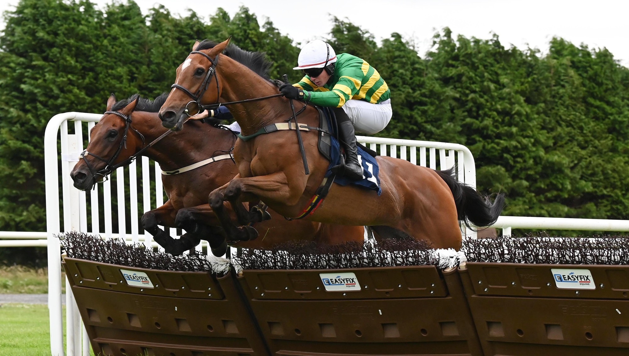 Take The Free delivers for Bolger and Kelly