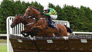 <p>TAKING FLIGHT: Take The Free and Aidan Kelly win the Adare Manor Opportunity Maiden Hurdle.  	Picture: Healy Racing</p>