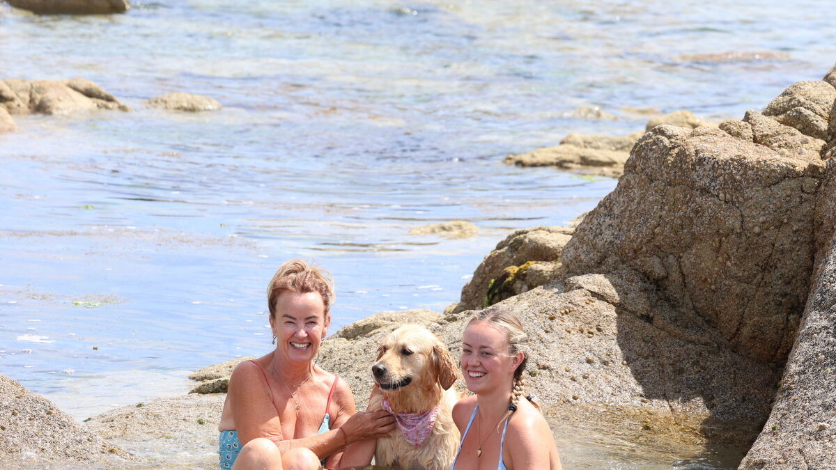 Met Éireann issues heatwave advisory as temperatures of above 30C expected