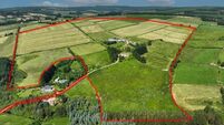 113a dairy farm in North Cork; a ready-to-go enterprise