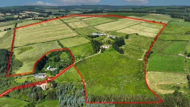 <p>Marked aerial view of the 113-acre farm at Lyraneag, Rockchapel, Co. Cork.</p>