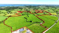 South Tipperary triple auction sees 57 acres fetch €20k/acre