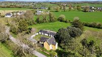 17a Limerick holding fetches €46k/acre in auction extravaganza