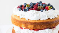 Beautiful, fruit naked cake over a white wall
