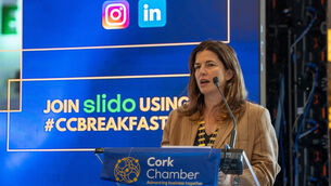 <p>Susie Horgan, President of Cork Chamber. Picture by Noel Sweeney.</p>